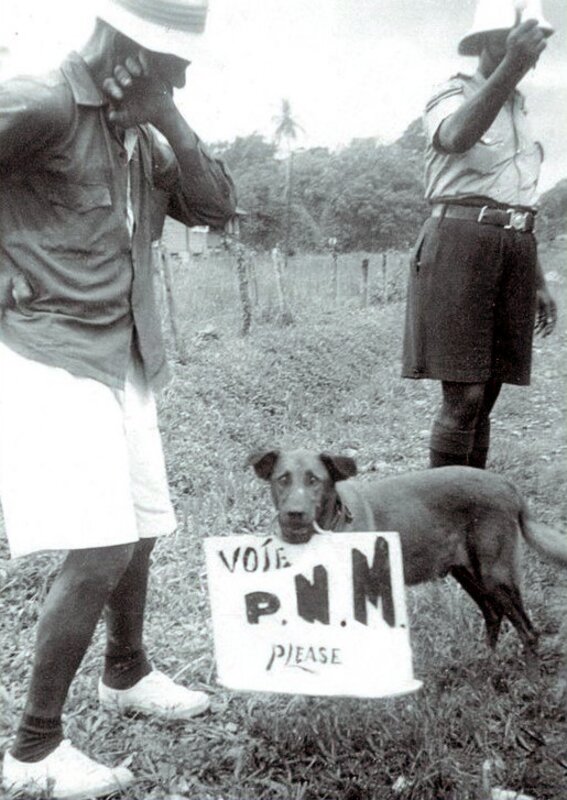Dog carrying People's National Movement sign